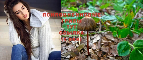 бошки Арсеньев