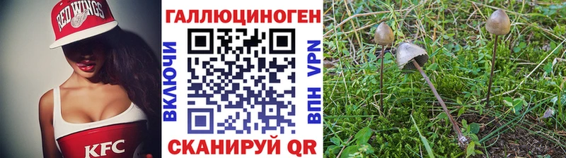 цены   Островной  Галлюциногенные грибы MAGIC MUSHROOMS 
